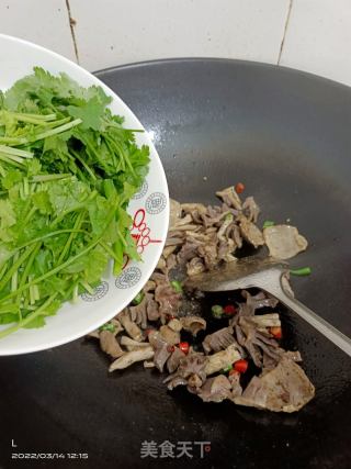 香菜炒鸭肾的做法步骤：5