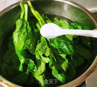 蒜蓉芥兰的做法步骤：4
