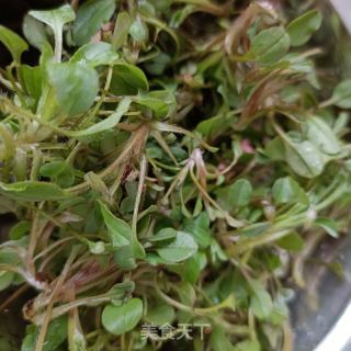 鸡肠草炒猪血的做法步骤：6