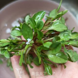 鸡肠草炒猪血的做法步骤：5