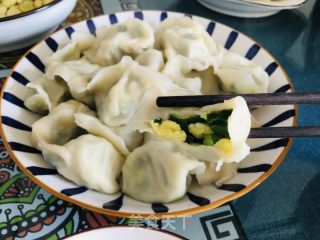 韭菜鸡蛋饺子的做法步骤：11