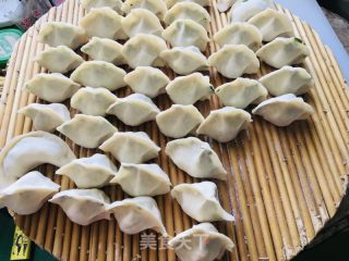 韭菜鸡蛋饺子的做法步骤：8