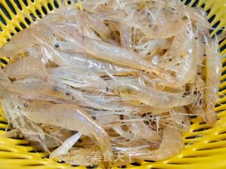 捞汁太湖白虾的做法步骤：3