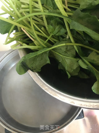 蒜蓉菠菜的做法步骤：2