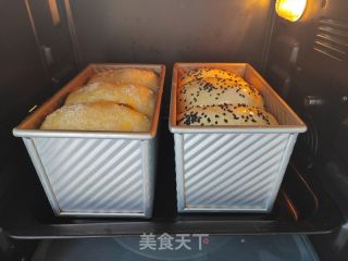 波兰种淡奶油吐司的做法步骤：14