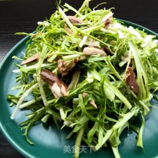 苦菊拌鹌鹑的做法步骤：10