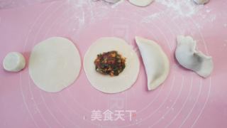 鸭肉汤饺的做法步骤：5