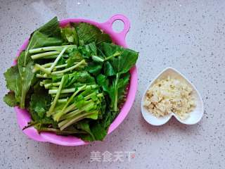 蒜蓉炒油菜的做法步骤：2