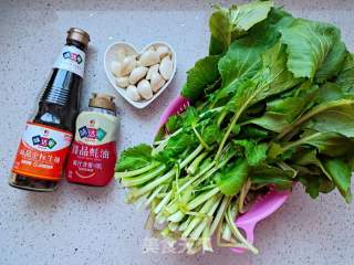 蒜蓉炒油菜的做法步骤：1