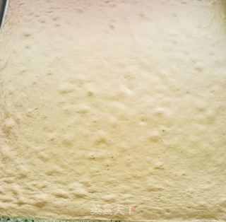 奶油蛋糕卷的做法步骤：11