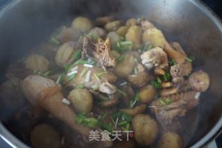红烧栗子鸡（轻盐版）的做法步骤：10