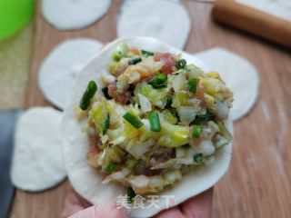 包菜鲜肉包的做法步骤：10