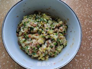 包菜鲜肉包的做法步骤：6