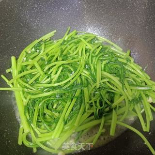 蒜末炒茼蒿的做法步骤：6