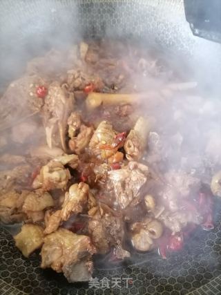 红烧鸡块的做法步骤：4