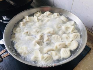 羊肉黄萝卜饺子的做法步骤：8