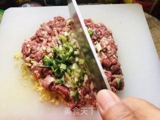 羊肉黄萝卜饺子的做法步骤：2