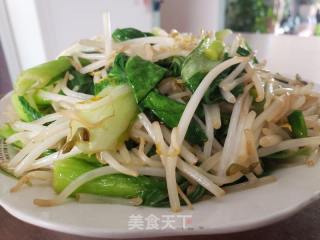 青菜炒绿豆芽的做法步骤：6