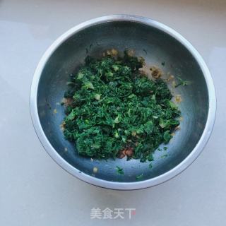 荠菜包子的做法步骤：4