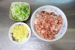 黑全麦猪肉胡萝卜包子的做法步骤：4