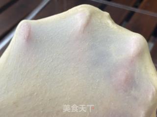 金枪鱼三明治＆全麦口袋吐司|低脂早餐优选的做法步骤：3