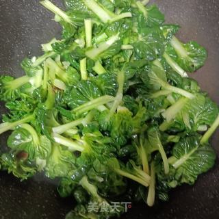 素炒乌塌菜的做法步骤：5