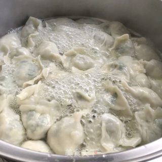 韭菜鸡蛋水饺的做法步骤：9