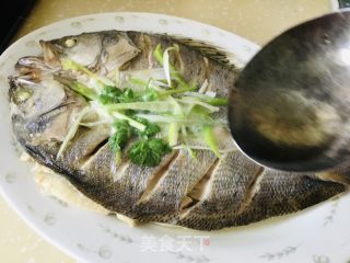 清蒸开背鲈鱼的做法步骤：5