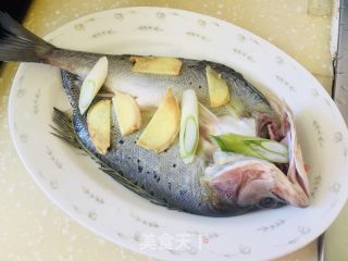 清蒸开背鲈鱼的做法步骤：4