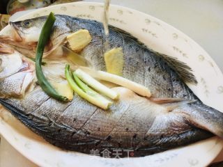 清蒸开背鲈鱼的做法步骤：3