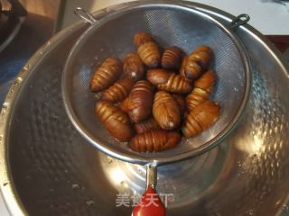 干煸茧蛹的做法步骤：5