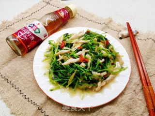 春天必吃减肥美食，豌豆苗炒鸡丝的做法步骤：7