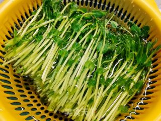 春天必吃减肥美食，豌豆苗炒鸡丝的做法步骤：2