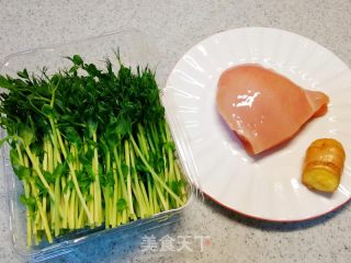 春天必吃减肥美食，豌豆苗炒鸡丝的做法步骤：1