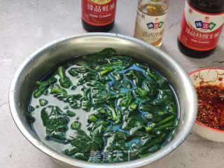 菠菜蛋皮拌粉丝的做法步骤：10