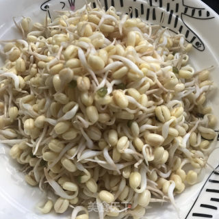 粉条拌小豆芽的做法步骤：1