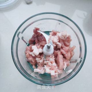 蒜苗猪肉馄饨的做法步骤：4
