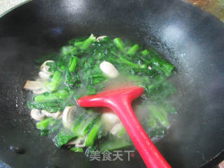 蘑菇天菜芯羹的做法步骤：6