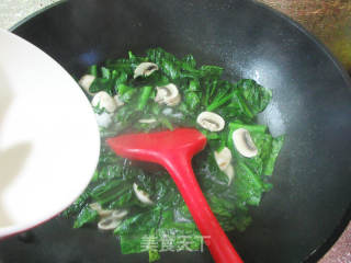 蘑菇天菜芯羹的做法步骤：5