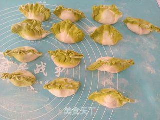 白菜饺子的做法步骤：13