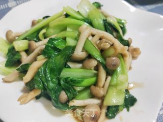 白玉菇炒油菜的做法步骤：11