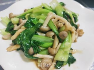 白玉菇炒油菜的做法步骤：10