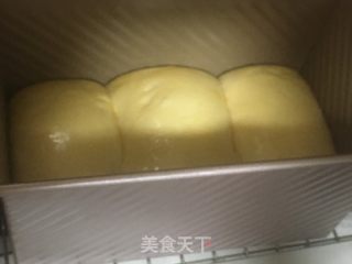 酸奶吐司的做法步骤：8