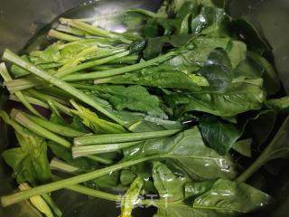 芝麻酱拌菠菜的做法步骤：1