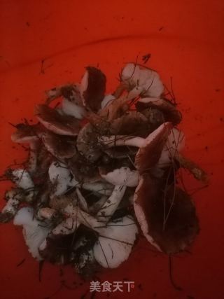 蘑菇汤的做法步骤：1