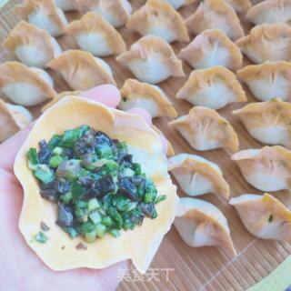 韭菜木耳猪肉水饺的做法步骤：8