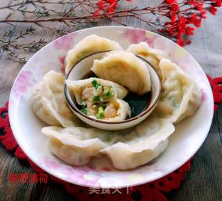 蒜苗白菜饺子的做法步骤：14