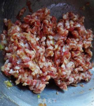 蒜苗白菜饺子的做法步骤：7