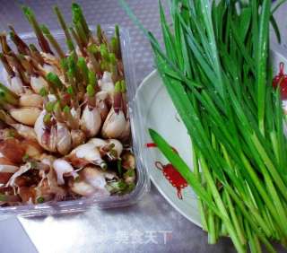 蒜苗白菜饺子的做法步骤：3