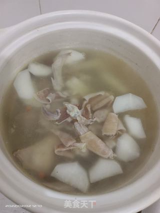 鸽子干鱿鱼萝卜汤的做法步骤：6
